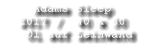 Adams Sleep   2017 /  40 x 30    l auf Leinwand